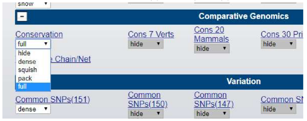 UCSC 4